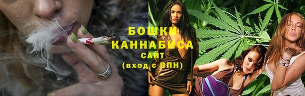 дживик Россошь